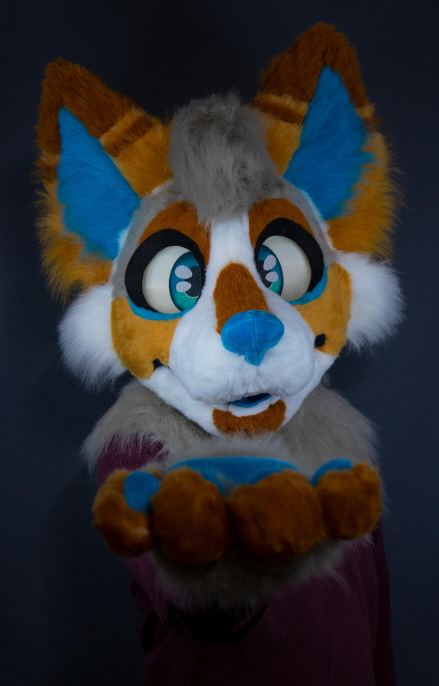 Ko1fu Mini-partial (March)