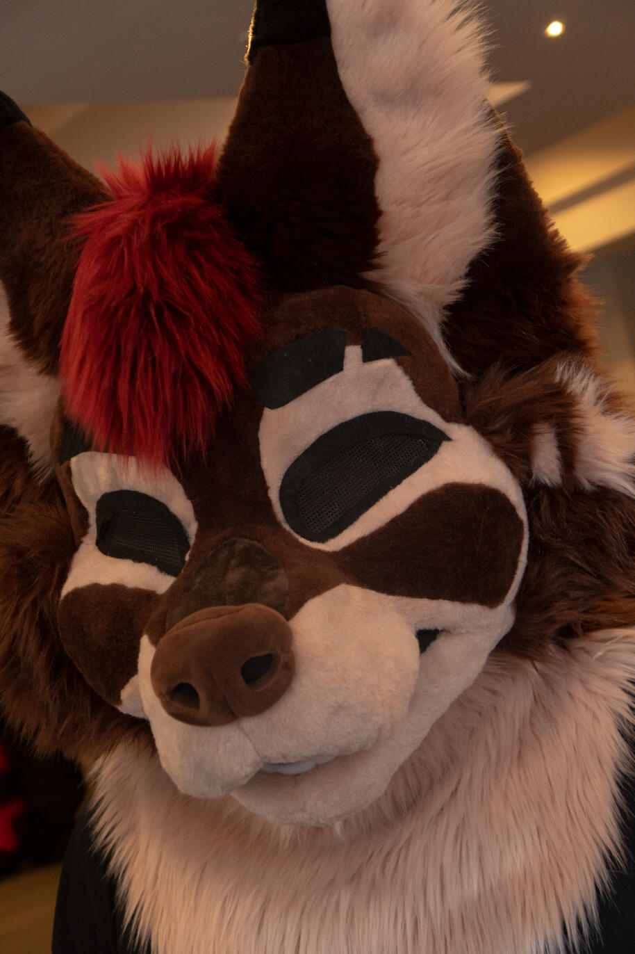 Ibercon&#39;s Mascot Adri Head (may)