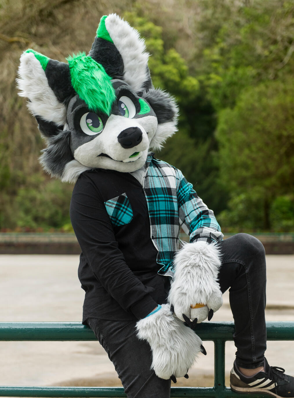 Ace 3.0 Mini Partial (January)