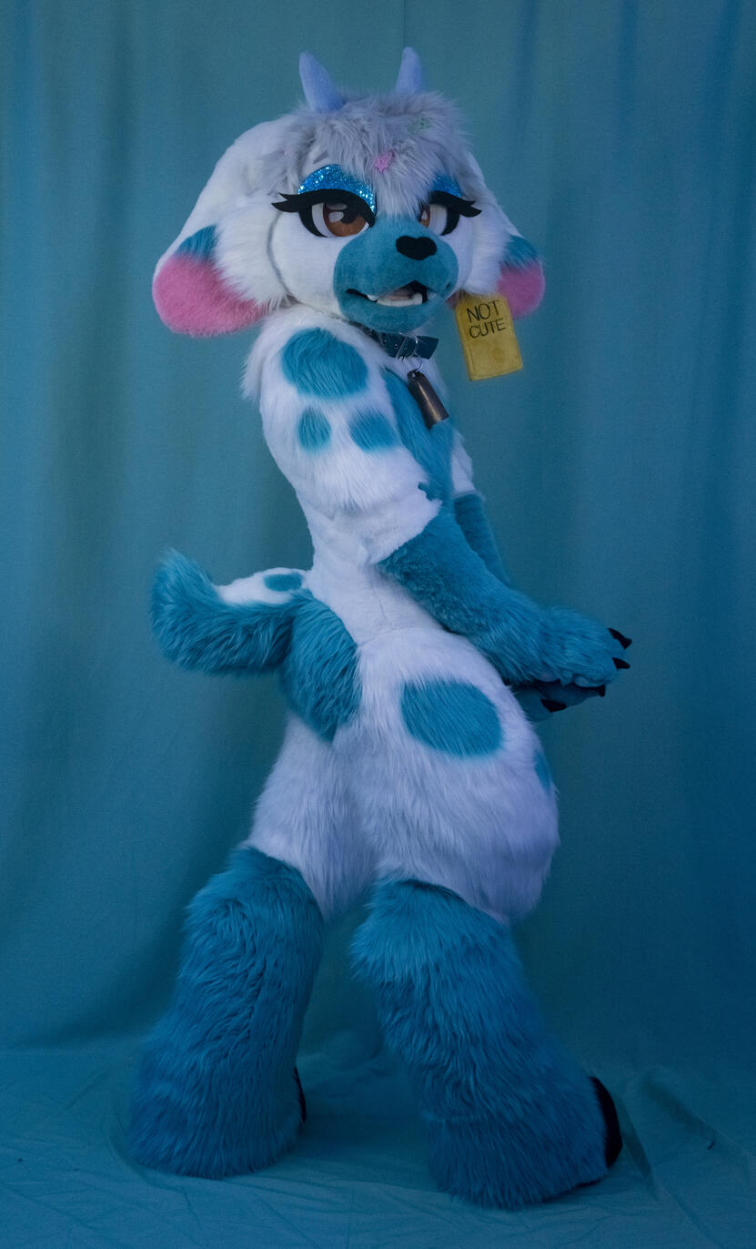 Alaskis Full digitigrade update (July)