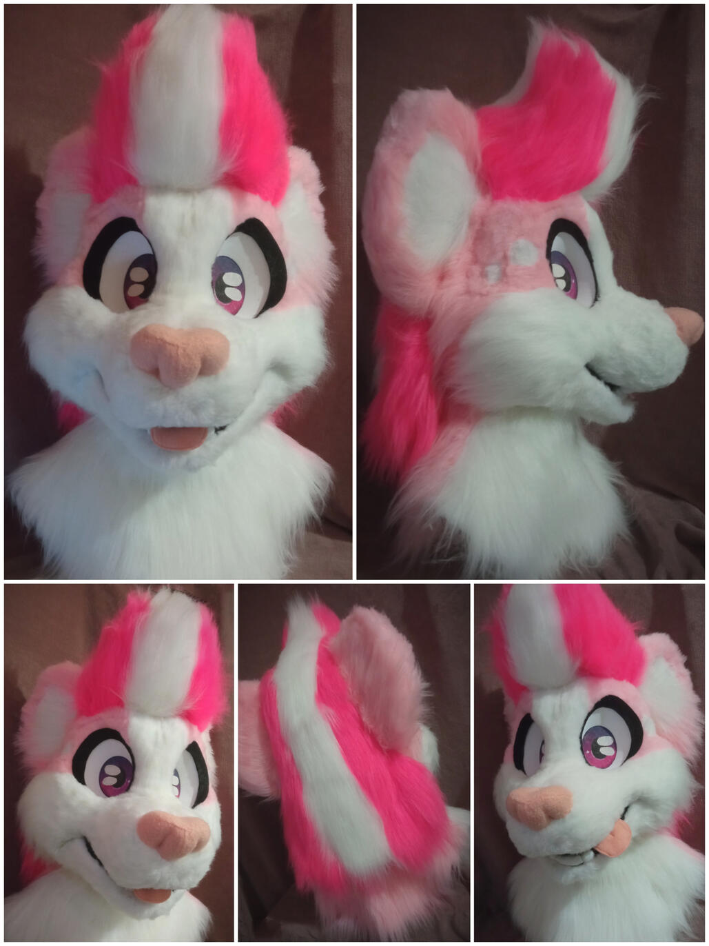 Finlyle Head (February)