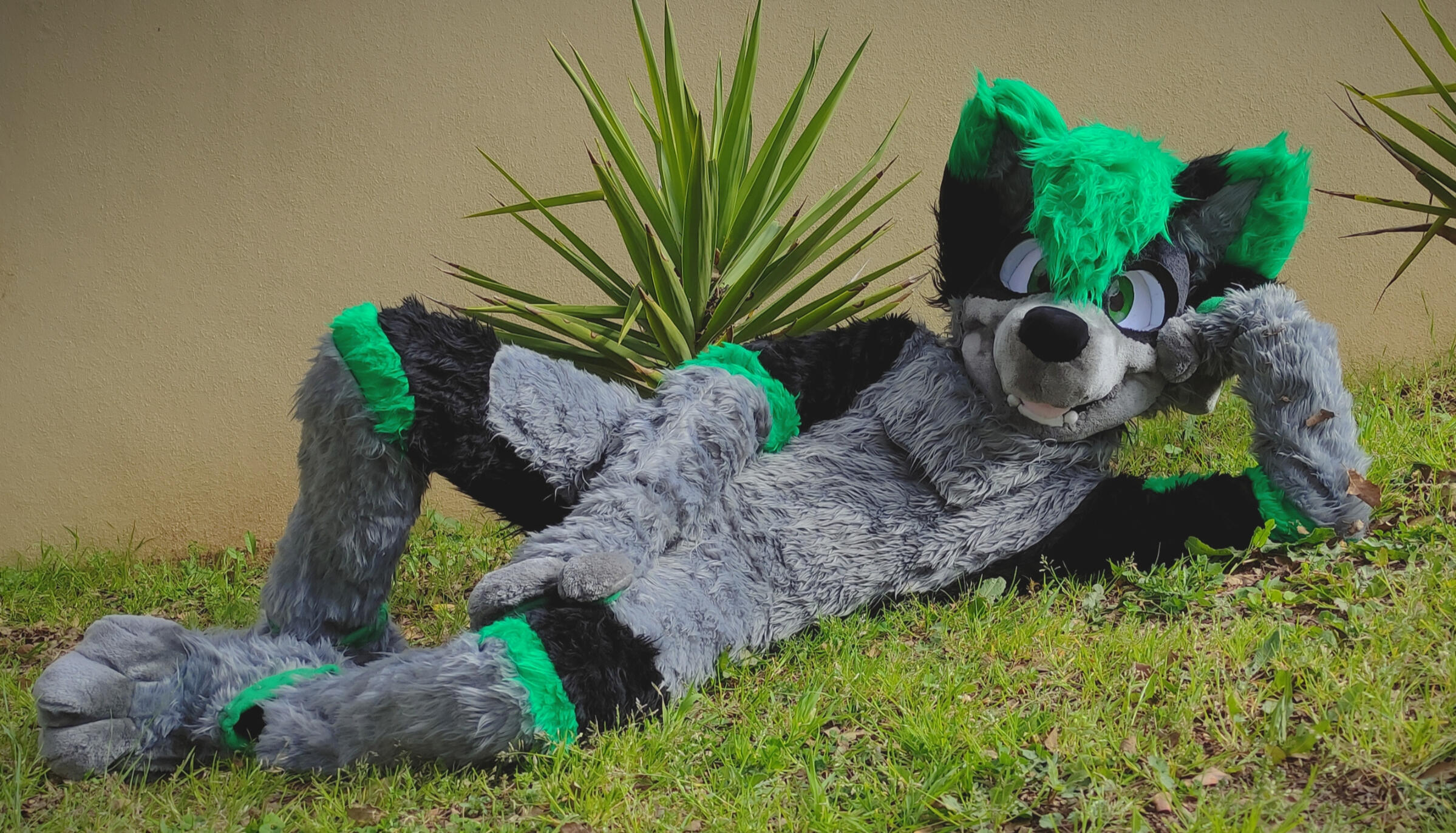 Ace full plantigrade