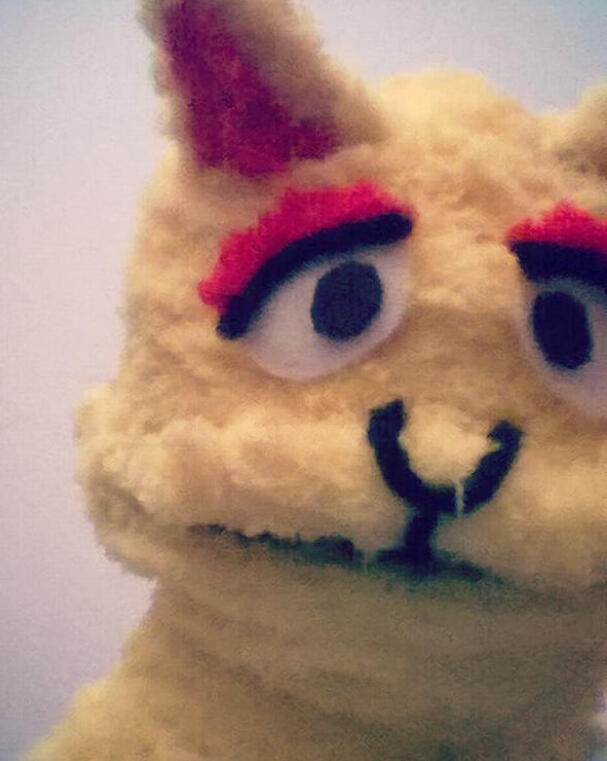 Cat Puppet